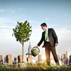 יזמות והקמת עסק